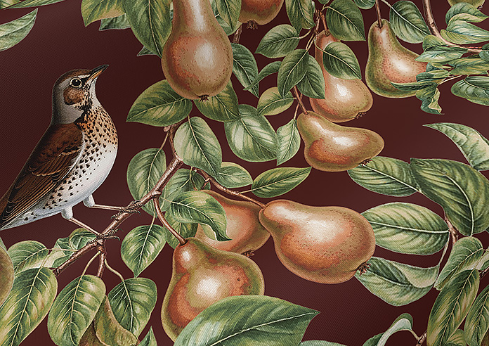 Pears, Russet - Roller Blind - Image 4